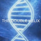 Double Helix Pendant