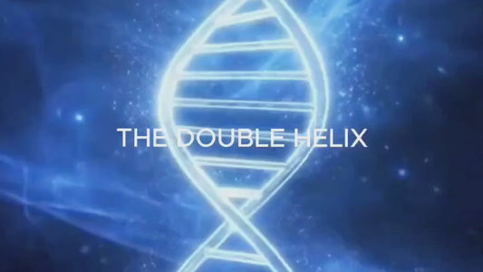 Double Helix Pendant